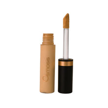 Load image into Gallery viewer, OSMOSIS Flawless Concealer